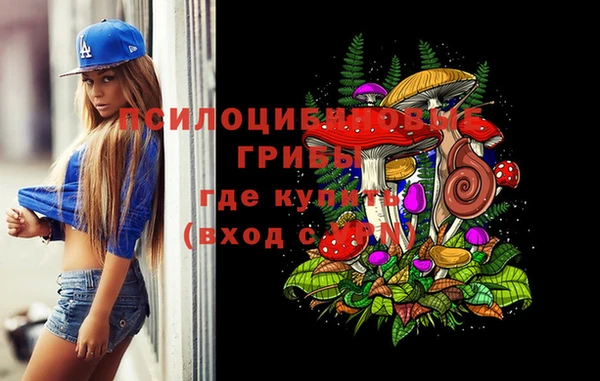ешки Надым